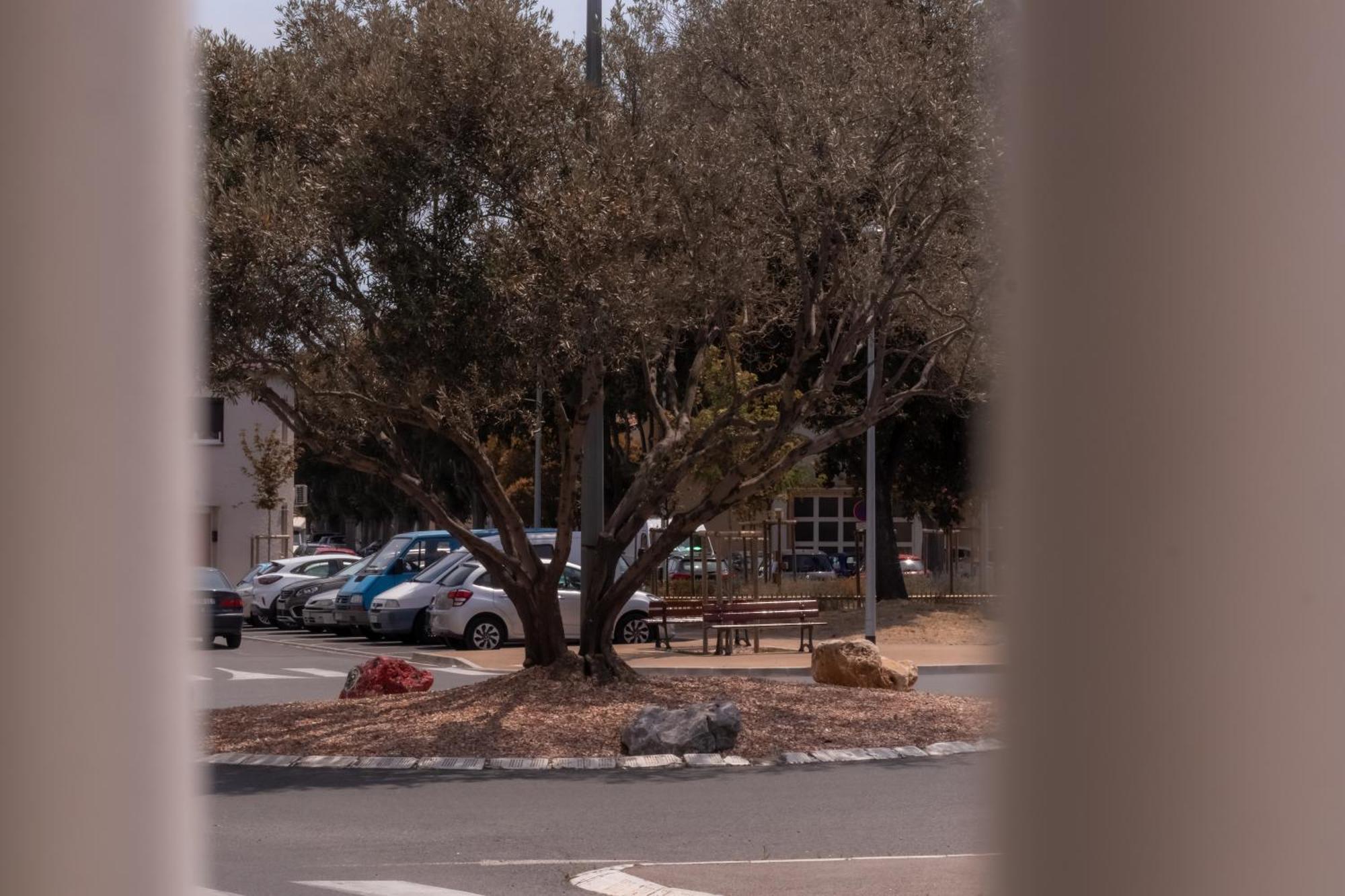 Le Boho Chic Studio Cosy Ναρμπόν Εξωτερικό φωτογραφία